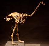 Click for more details.